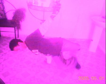 moi  lol